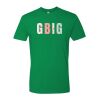 Unisex Cotton T-Shirt Thumbnail